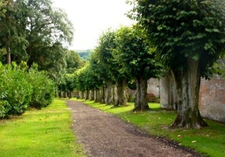 The path through Andrew Lloyd Webber's hamlet of Sydmonton, Hampshire. Photo: Dave Ramm